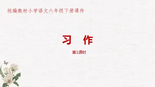 统编教材部编人教版小学语文六年级下册第4单元《习作：心愿》第1课时PPT课件