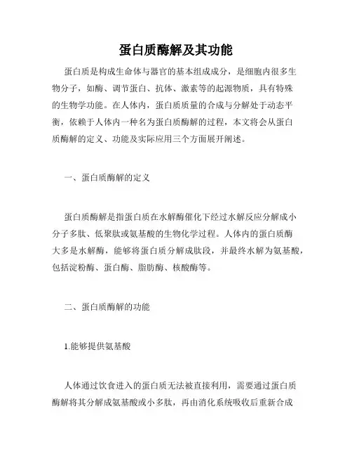 蛋白质酶解及其功能