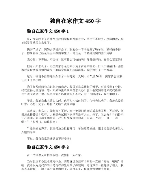 独自在家作文450字