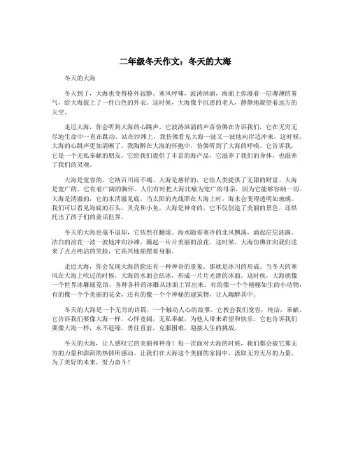 二年级冬天作文：冬天的大海