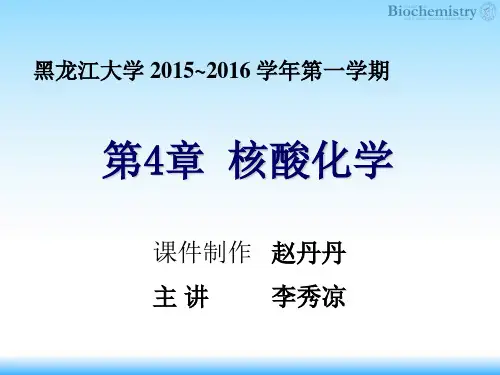 04 核酸化学