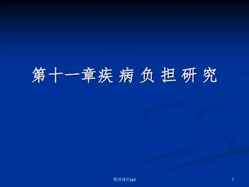 《卫生经济学》11-第十一章疾病经济负担分析