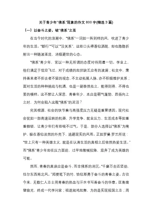 关于青少年“佛系”现象的作文800字