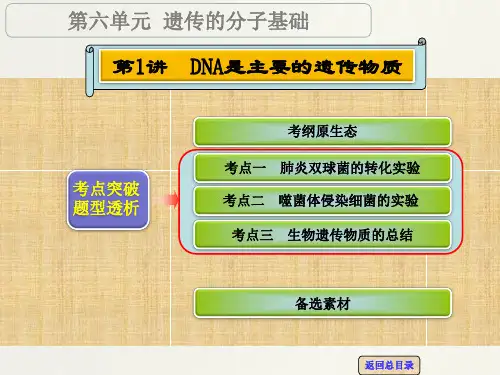 【高考领航】高考生物一轮复习 第六单元 第1讲 DNA是主要的遗传物质名师精编课件