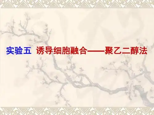 实验5诱导细胞融合——聚乙二醇法