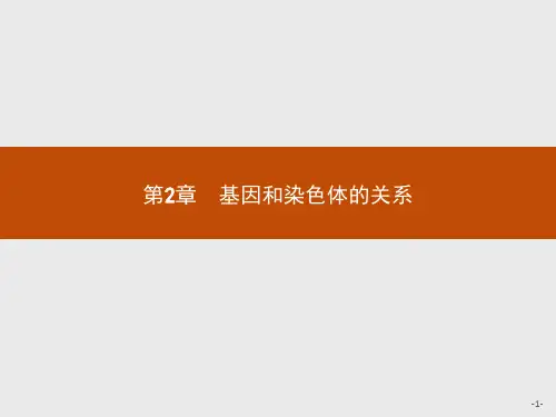 高中生物人教版必修2课件：2.1 减数分裂和受精作用