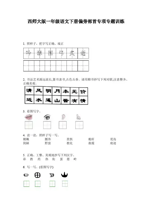 西师大版一年级语文下册偏旁部首专项专题训练