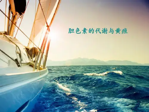 胆色素的代谢与黄疸PPT课件