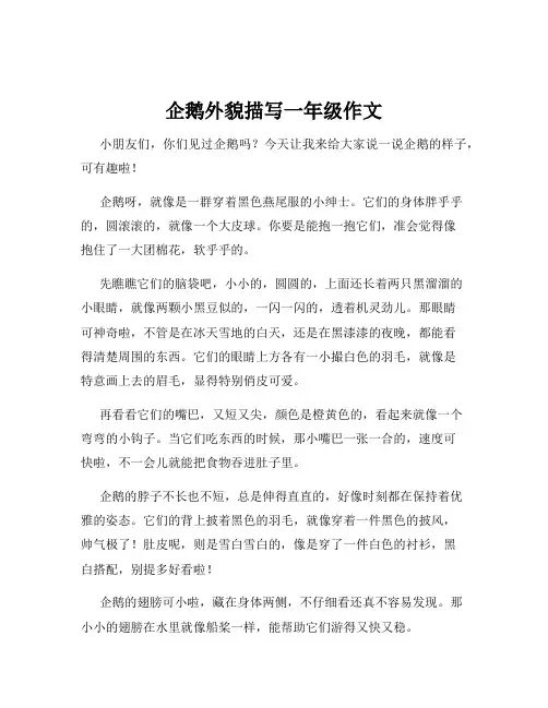 企鹅外貌描写一年级作文
