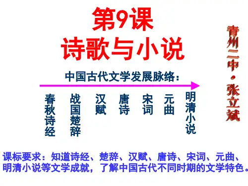 岳麓版高中历史必修三第9课 诗歌和小说2019(共35张PPT)