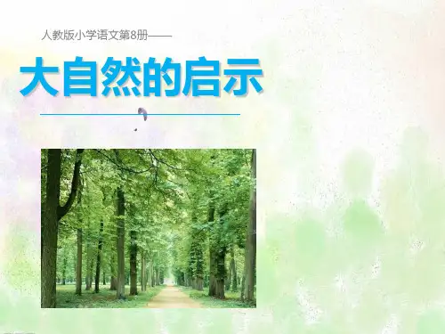 四年级下册语文课件-12大自然的启示∣人教新课标 (共10张PPT)