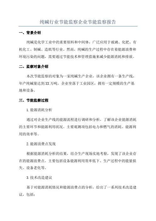 纯碱行业节能监察企业节能监察报告