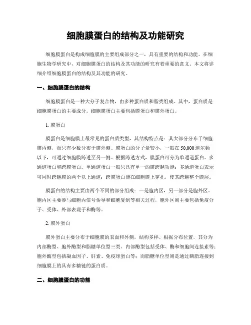 细胞膜蛋白的结构及功能研究