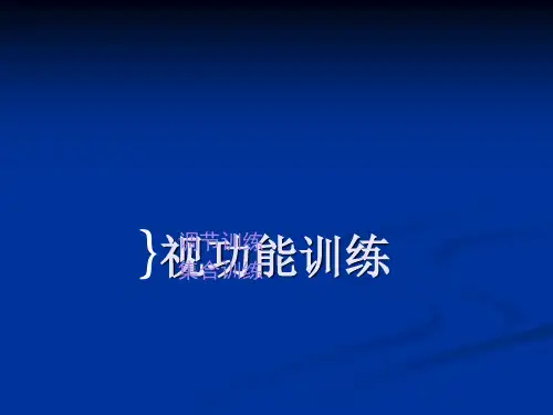 视功能训练