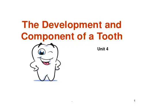 口腔医学英语讲义PPT医学课件