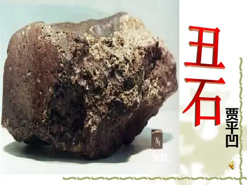 《丑石》ppt