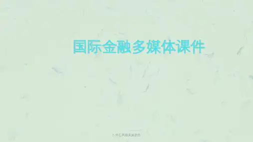 外汇风险及其防范课件