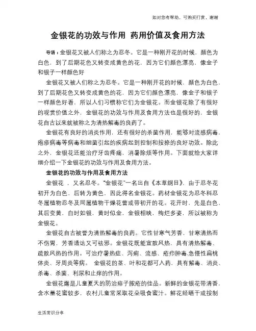 金银花的功效与作用 药用价值及食用方法