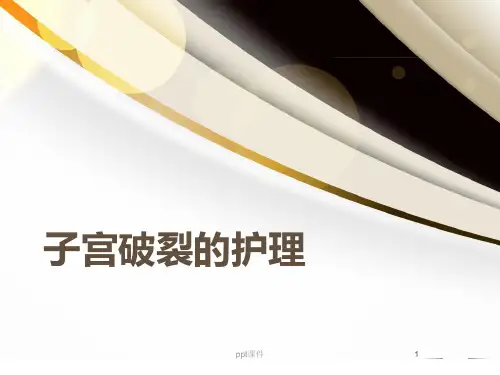 子宫破裂的护理  ppt课件