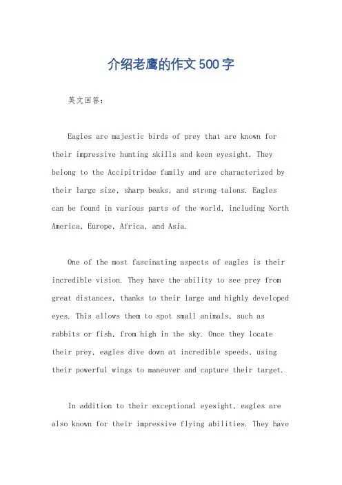 介绍老鹰的作文500字