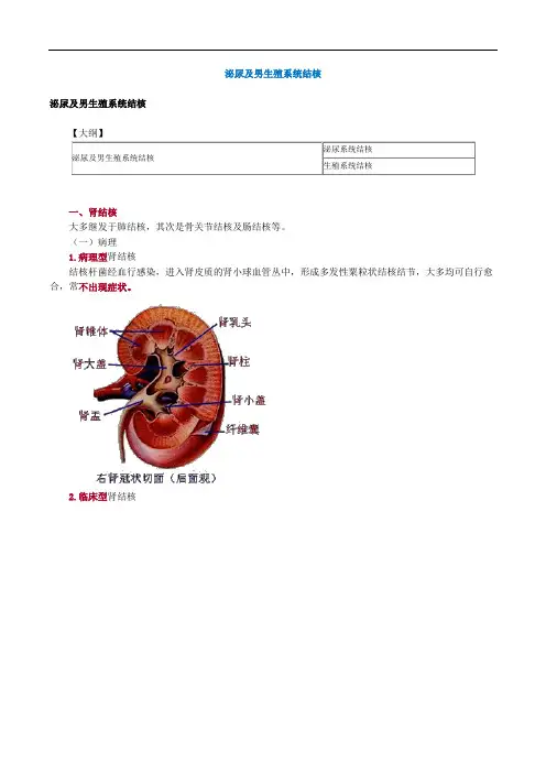 医学课件---泌尿及男生殖系统结核