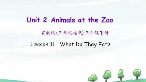 冀教版英语三年级下册《 Lesson 11》教学课件