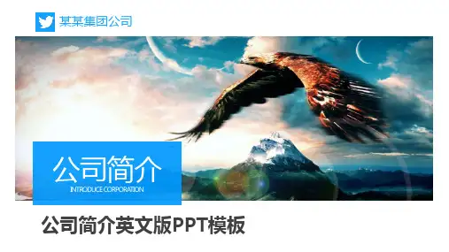 公司简介英文版PPT模板