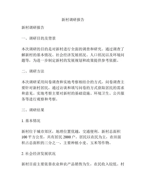 新村调研报告
