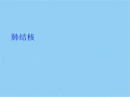 肺结核 (共10张PPT)