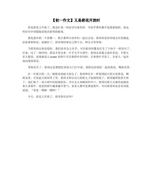 【初一作文】又是荷花开放时