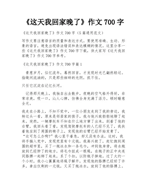 《这天我回家晚了》作文700字