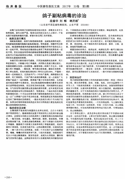 鸽子副粘病毒的诊治
