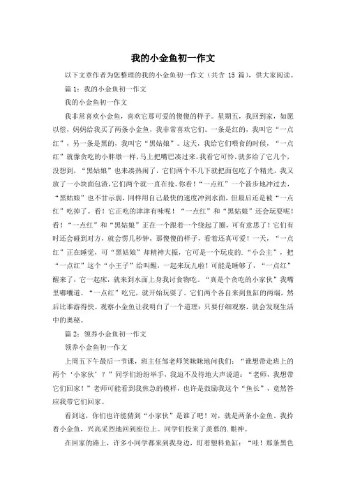 我的小金鱼初一作文