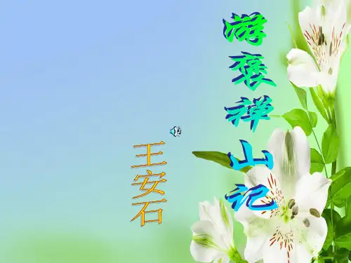 沪教版高中语文第三册游褒禅山记619张PPT第三册课件