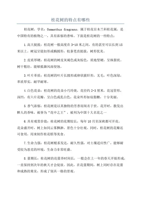桂花树的特点有哪些