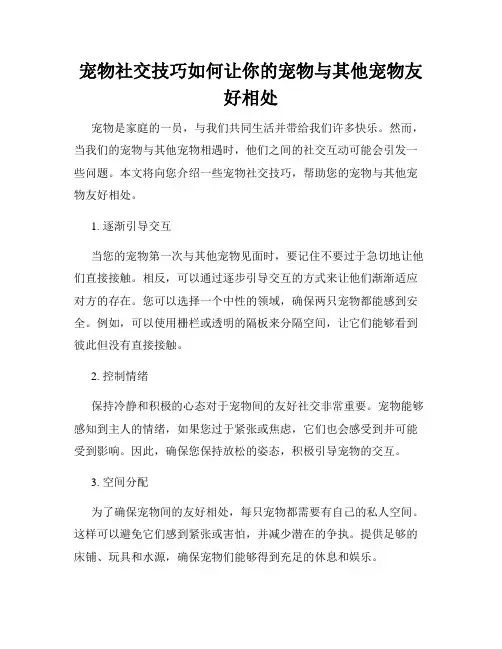 宠物社交技巧如何让你的宠物与其他宠物友好相处