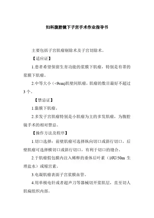 妇科腹腔镜下子宫手术作业指导书