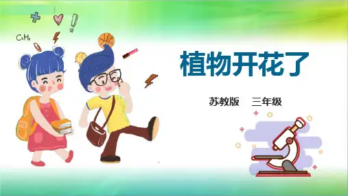 苏教版小学科学新版本三年级下册科学5第一单元《植物的一生》第三课《植物开花了》课件