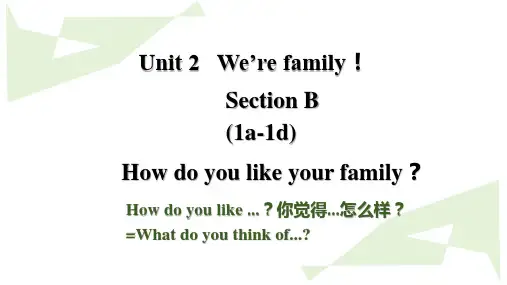 Unit2SectionB(1a-1d)课件+2024-2025学年人教版英语七年级上册