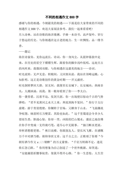 不同的相遇作文800字