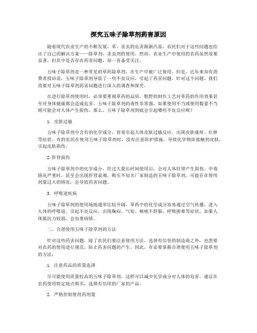 探究五味子除草剂药害原因