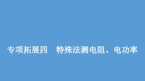 初中物理专项训练 特殊法测电阻、电功率