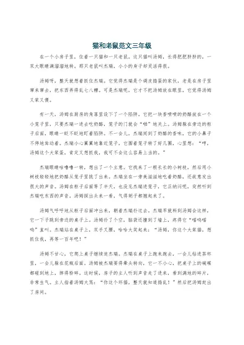 猫和老鼠范文三年级