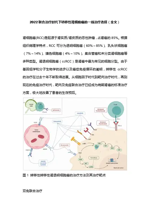 2022联合治疗时代下转移性肾细胞癌的一线治疗选择(全文)