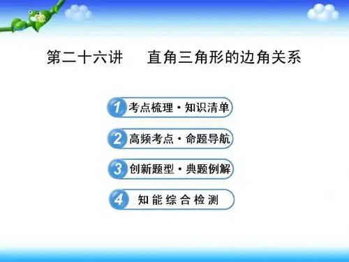 2013届北师大版初中数学全程复习方略配套课件第二十六讲 直角三角形的边角关系