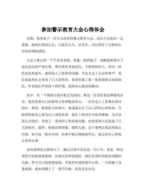 参加警示教育大会心得体会