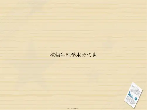 植物生理学水分代谢讲课文档
