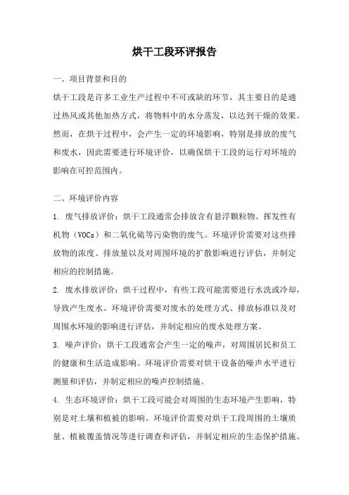 烘干工段环评报告