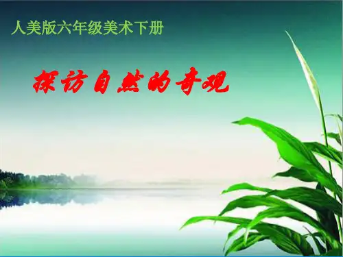 人美版六年级下册美术课件：第2课探访自然的奇观(共14张PPT)课件 