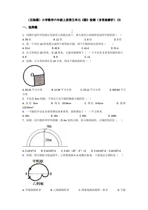 (压轴题)小学数学六年级上册第五单元《圆》检测(含答案解析)(3)